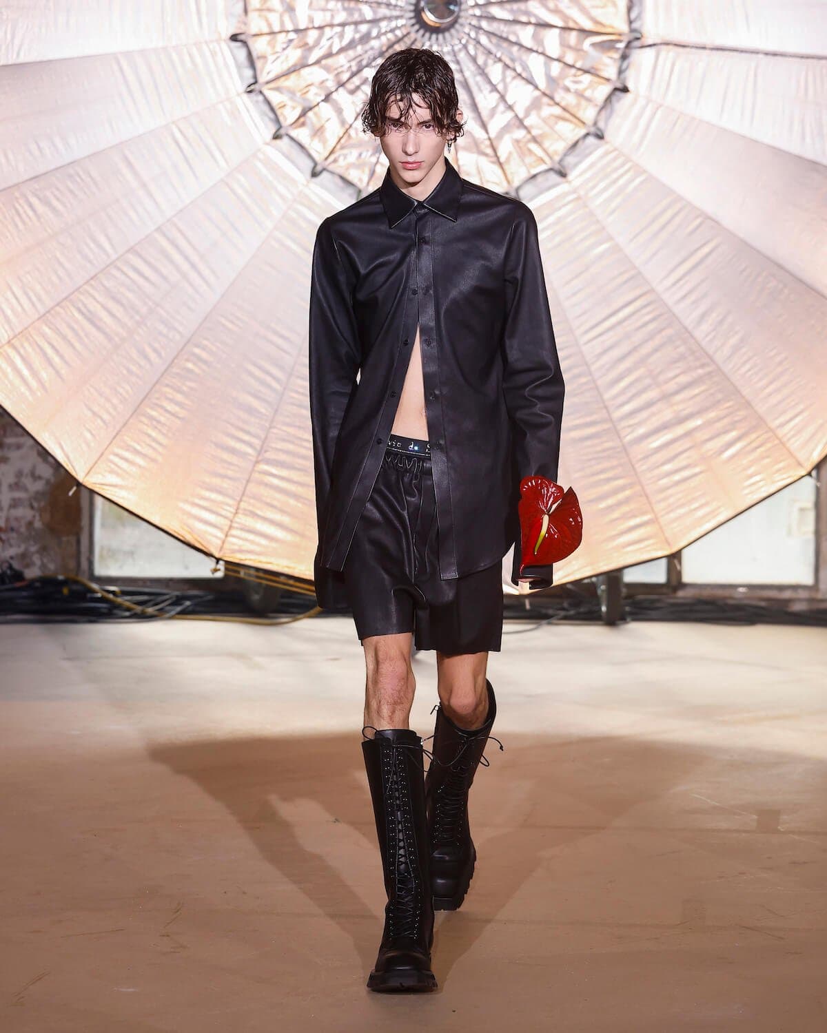 LDSS_look_03.jpg